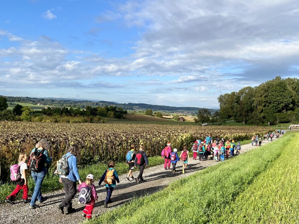 Herbstbummel der Primarschule Nussbaumen