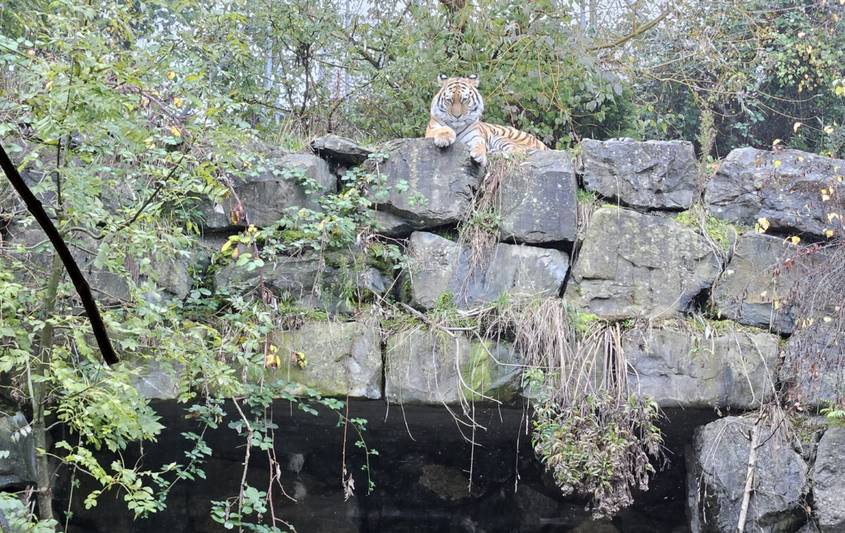 EFN: Blick hinter die Kulissen des Walter Zoos