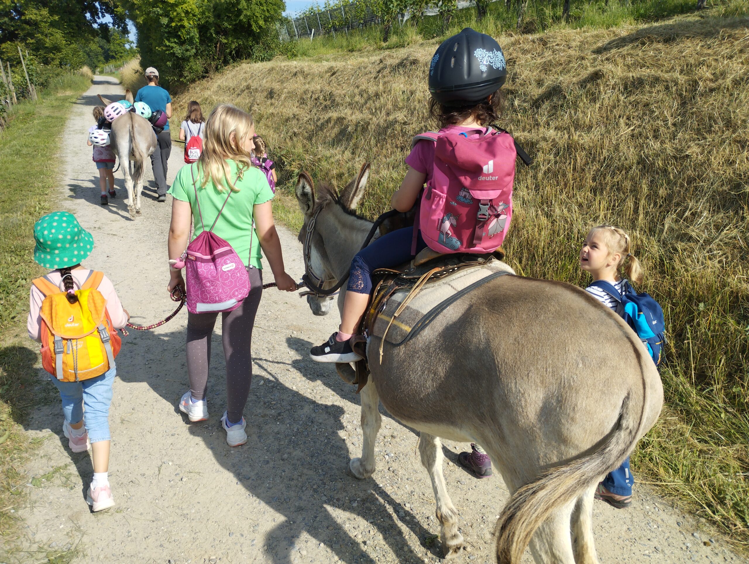 Die Sportprojektwoche vom 16. bis 20. Juni