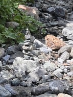 Quartalsbrief August 2025